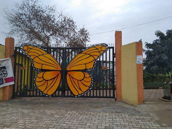 Thousand Shades Butterfly Park